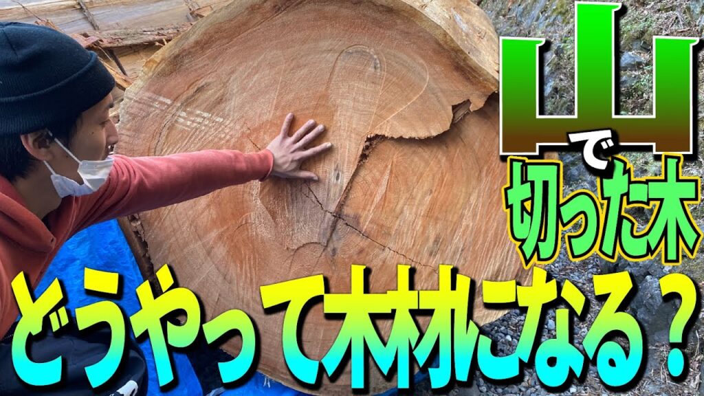 【大工の豆知識】その木材、どうやってできるか知ってますか？