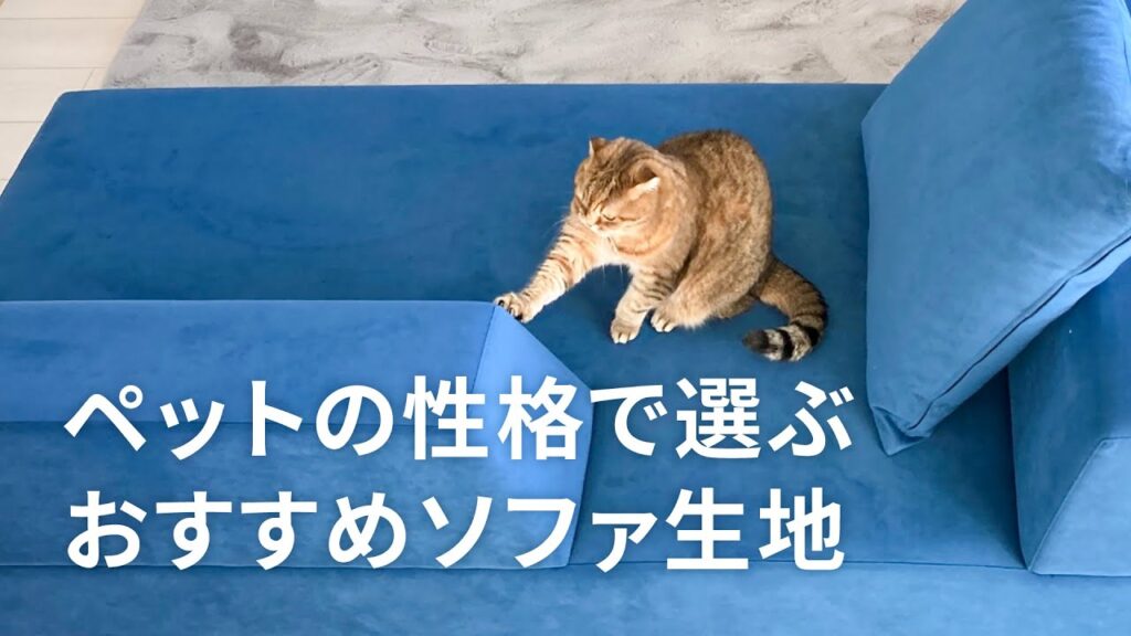 ペットの性格で選ぶ おすすめソファ生地【FLANNEL SOFA】