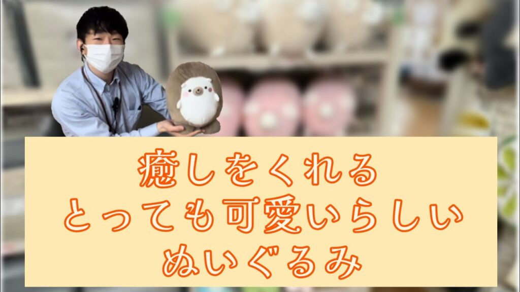 インテリア 厚木・平塚・海老名周辺 おしゃれ家具&雑貨 ソファ・テーブル【スイデコ本厚木店】「癒しをくれるとっても可愛いらしいぬいぐるみのご紹介」