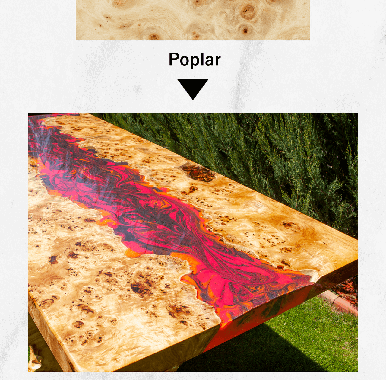 Poplar